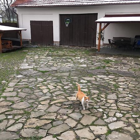 Ubytovani V Soukromi U Volneho Příbor Eksteriør billede